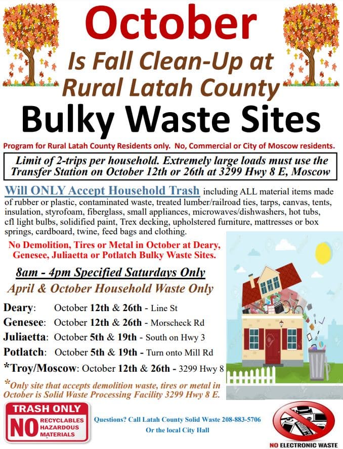 Capture Bulky Waste October