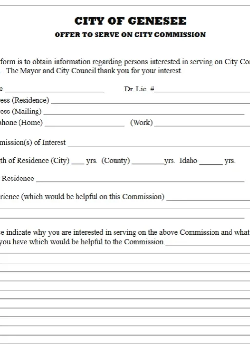 City Commission Application